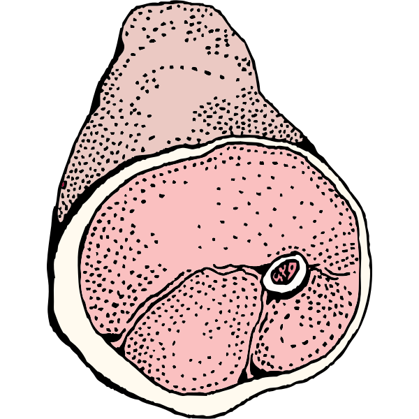 SVG Ham vector drawing