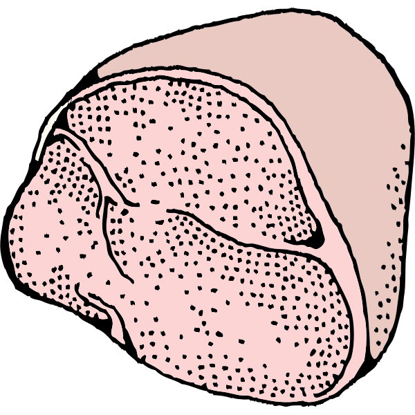 SVG Ham vector graphics