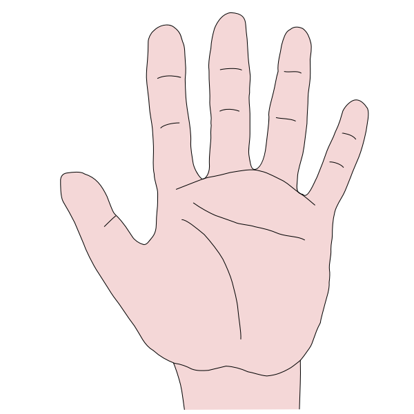 SVG Hand palm