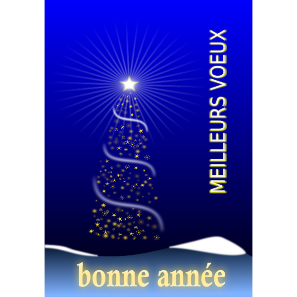 SVG Happy New Year in French
