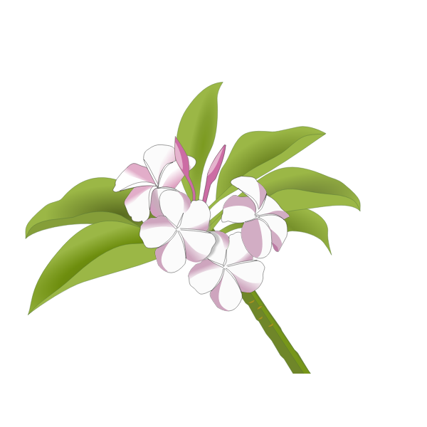 SVG Hawaiian flowers