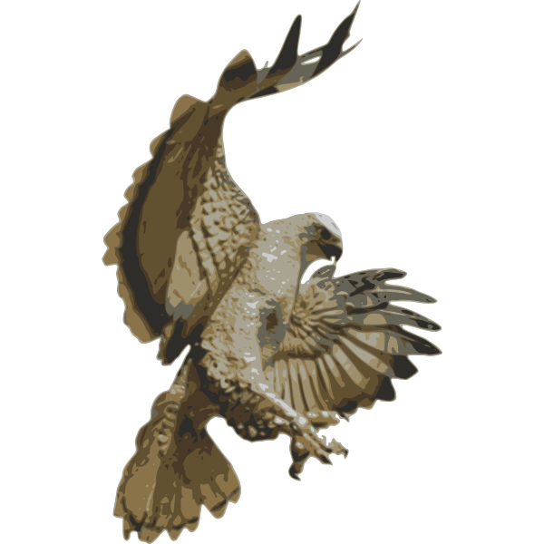 SVG Hawk Pouncing