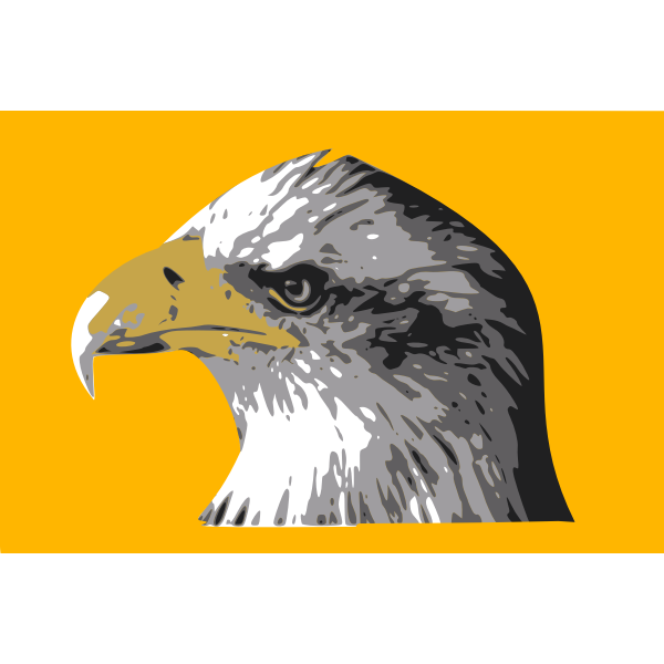 SVG Head of a bald eagle vector drawing