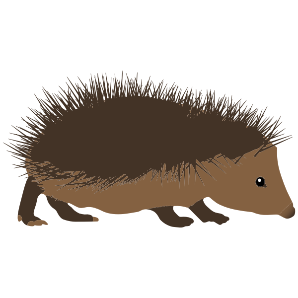 SVG Hedgehog drawing