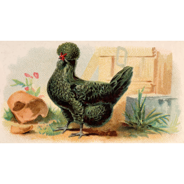 SVG Hen with green feathers