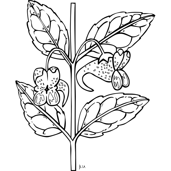 SVG Herb branch