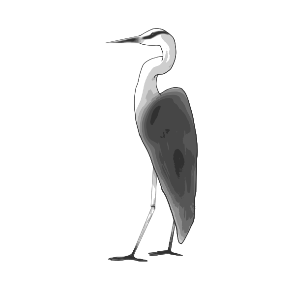 SVG Heron color graphics