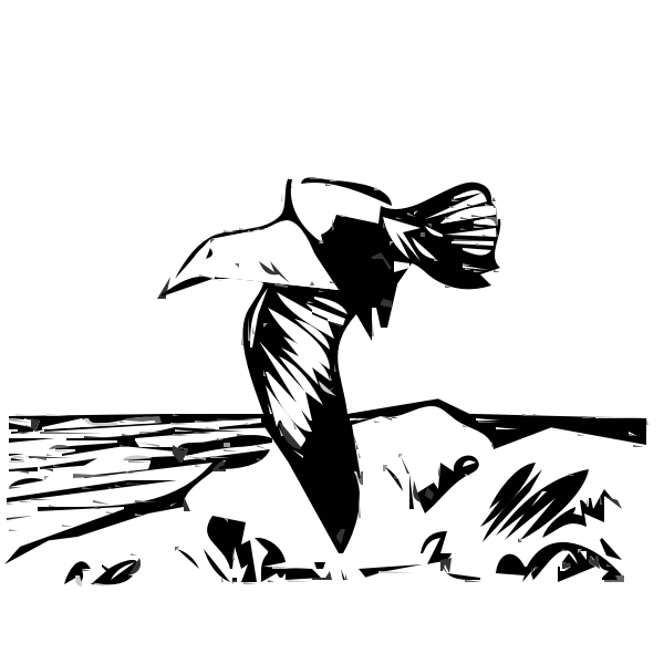 SVG Herring gull flying vector drawing