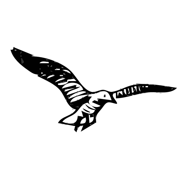 SVG Herring Gull vector clip art