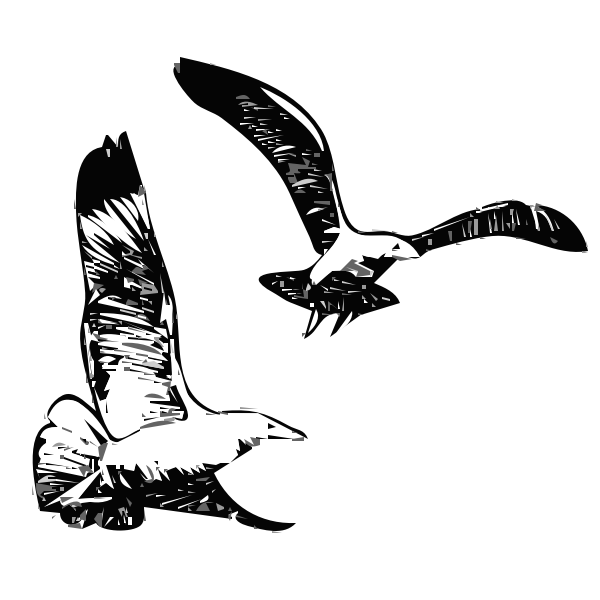 SVG Herring Gulls flying up vector graphics