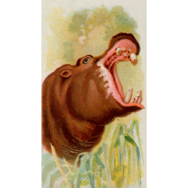 SVG Hippopotamus
