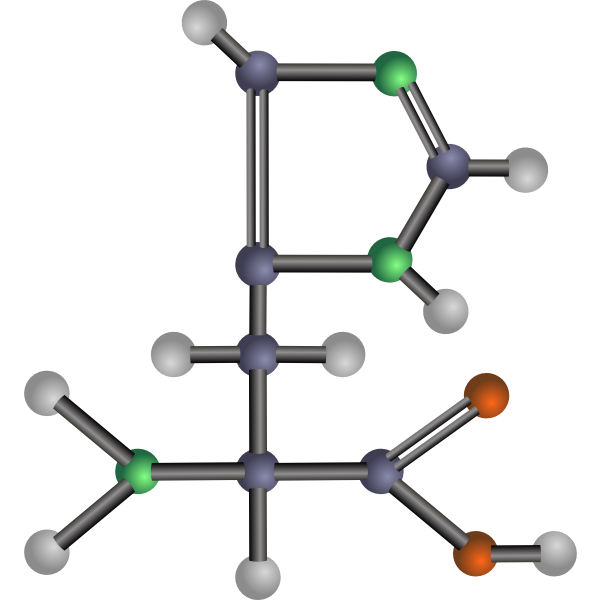 SVG Histidine amino acid