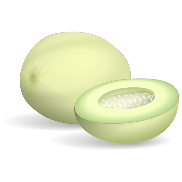 SVG Honeydew melon whole and half vector clip art