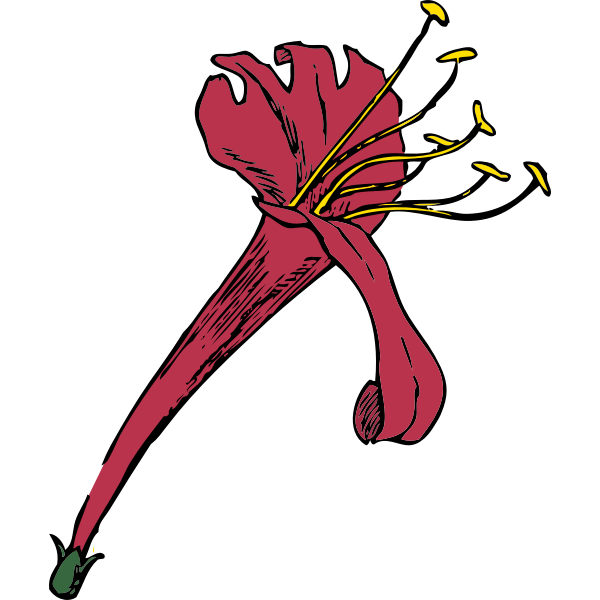 SVG honeysuckle