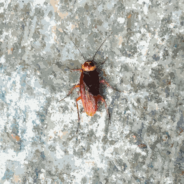 SVG Hong Kong Bug 2015033046