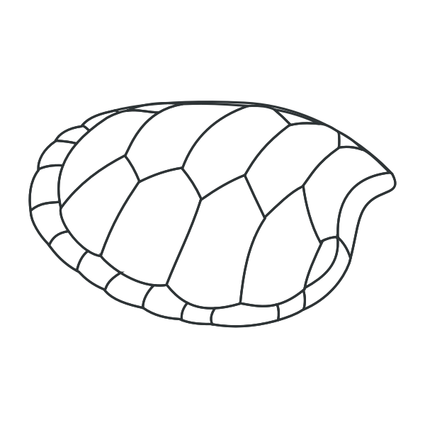 SVG Hoof