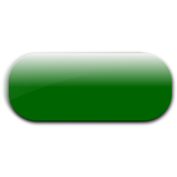 SVG Horizontal pill shaped green button vector image