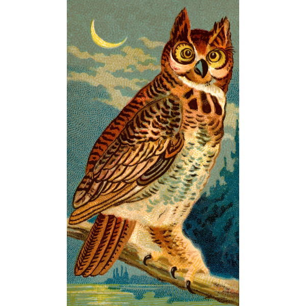 SVG Horned Owl