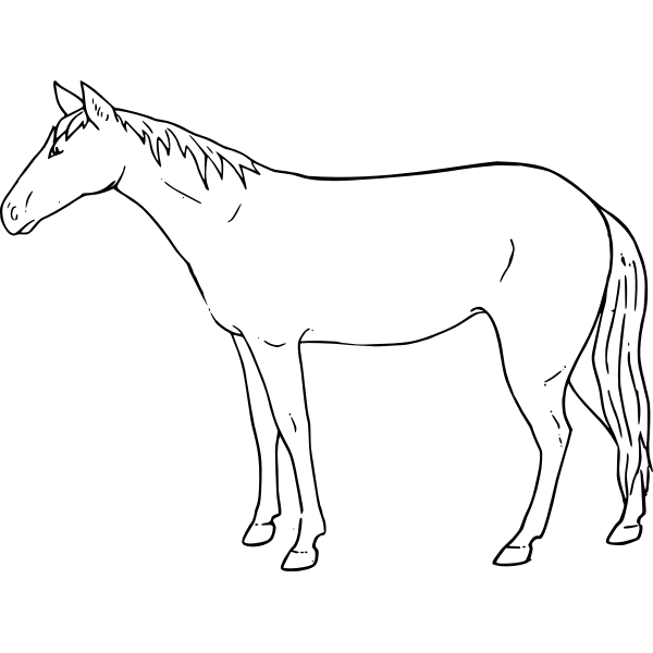 SVG Horse
