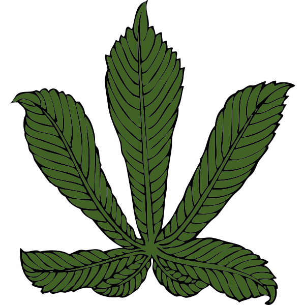 SVG horse chestnut leaf