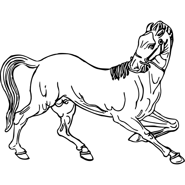 SVG Horse drawing