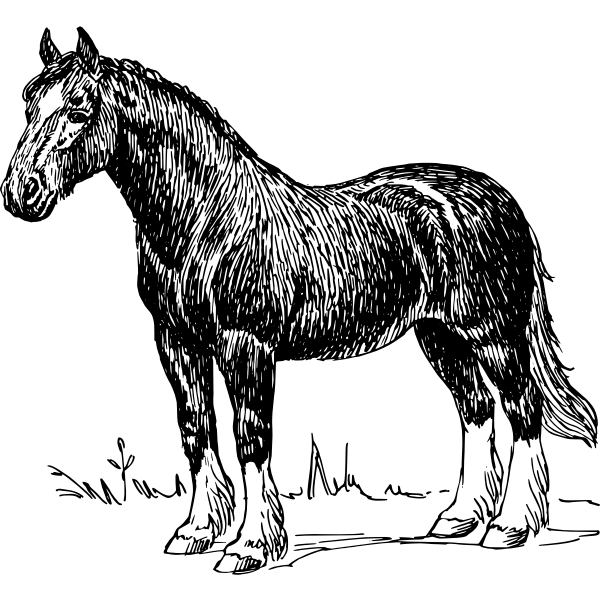 SVG Horse image silhouette