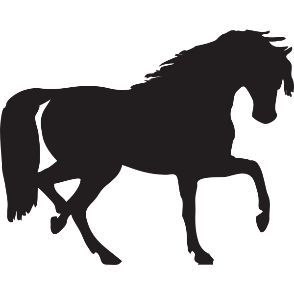 SVG Horse silhouette vector