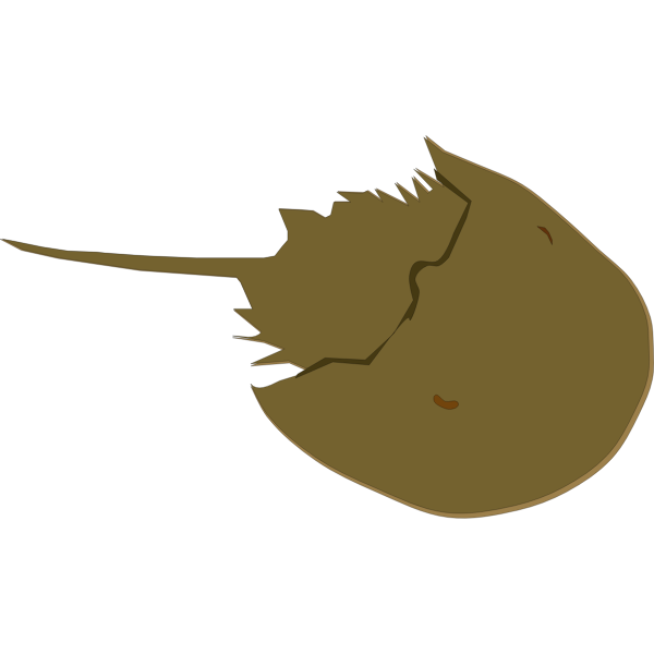 SVG Horseshoe Crab