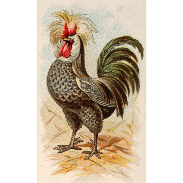 SVG Houdan rooster