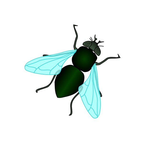 SVG Housefly