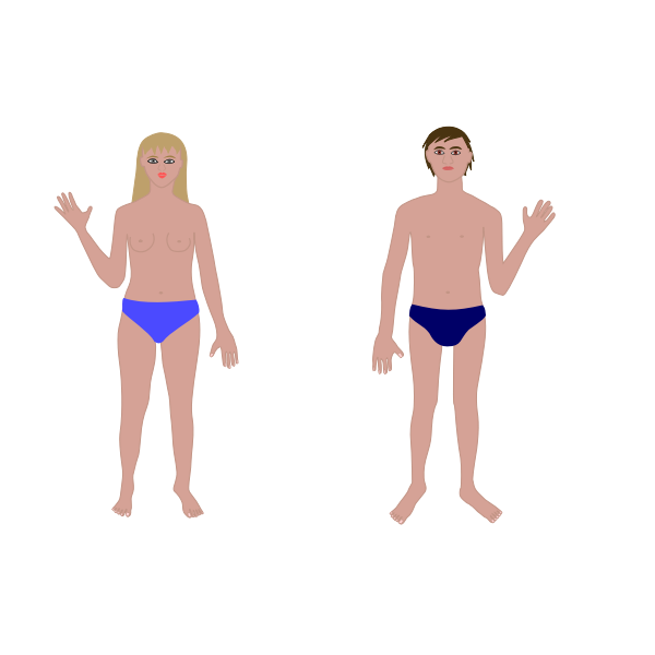 SVG Human body man and woman