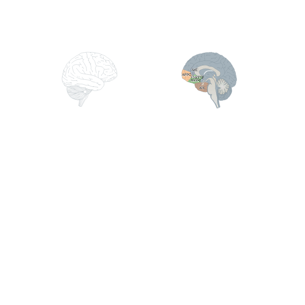 SVG human brain-1576594549