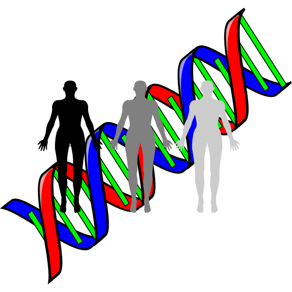 SVG Human cloning