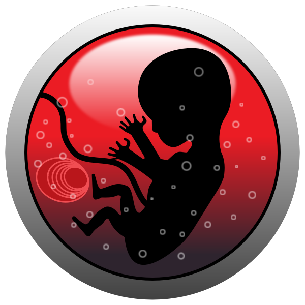 SVG Human embryo vector silhouette