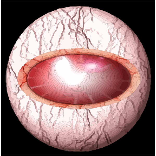 SVG Human eye from inside vector image