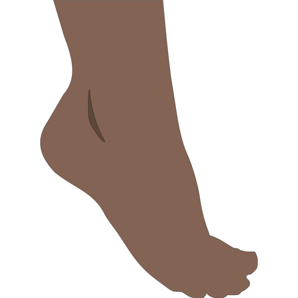 SVG Human foot vector image