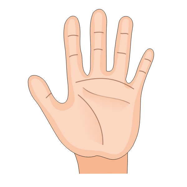 SVG Human Hand Palm Inside Remix