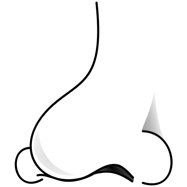 SVG Human nose