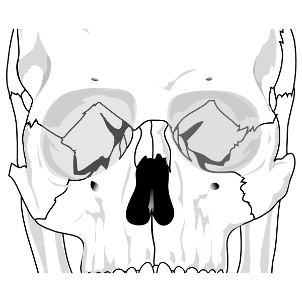 SVG Human skull