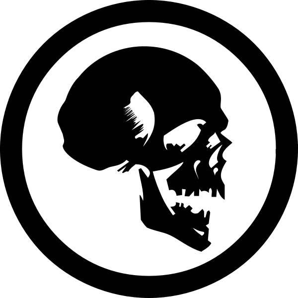 SVG Human skull symbol vector image