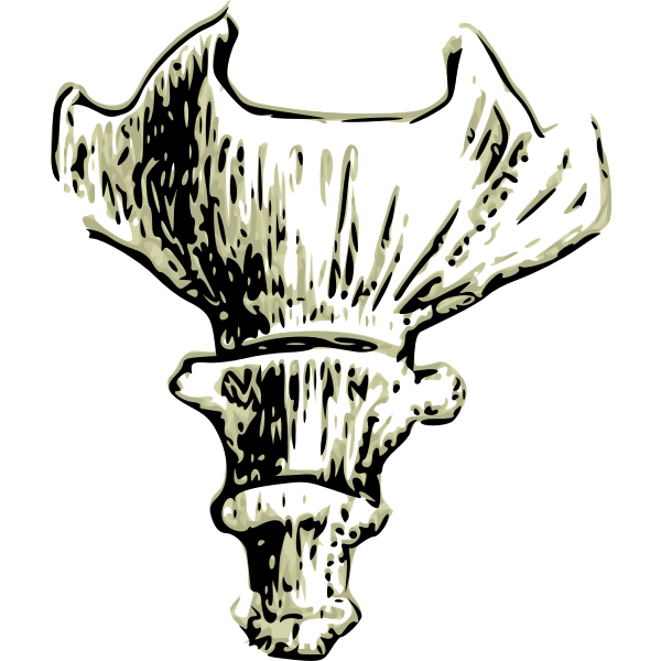 SVG Human tail bone