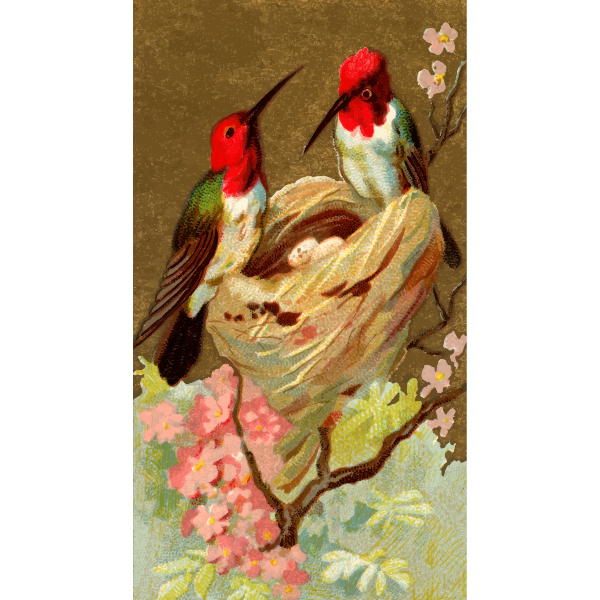 SVG Humming birds