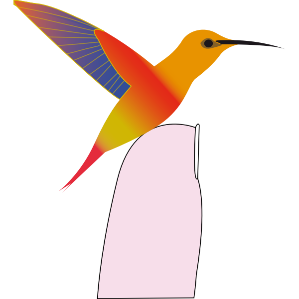 SVG Hummingbird