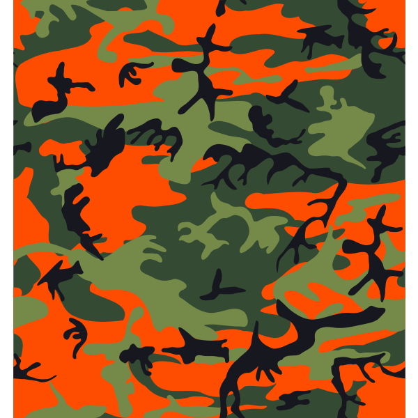 SVG Hunter039s camouflage print vector image
