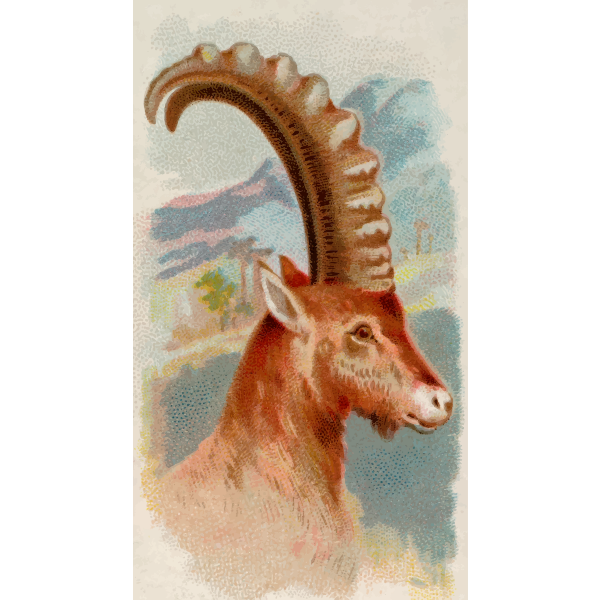 SVG Ibex image