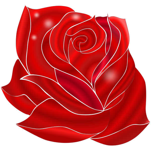 SVG Illustration of blooming rich red rose