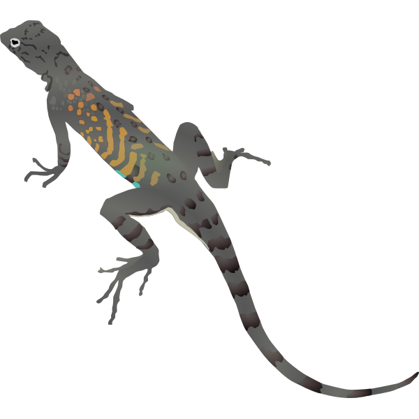 SVG Illustration of colorful lizard