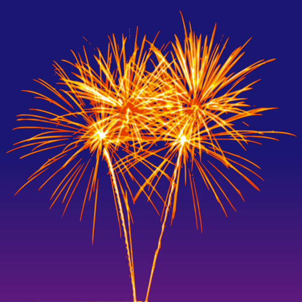 SVG Illustration of fireworks in the night