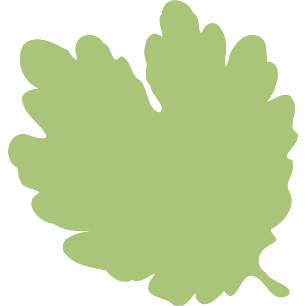SVG Illustration of pale green leaf silhouette