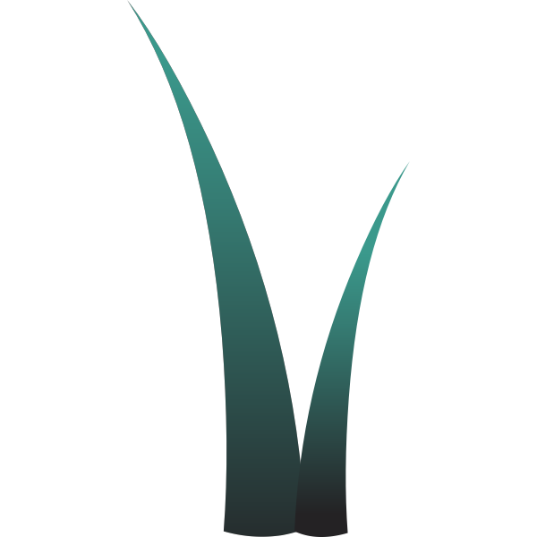 SVG Illustration of two colored grass leaves